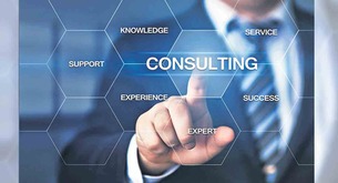 Consulting Services